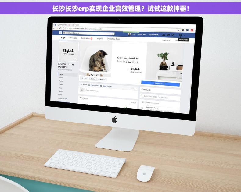 长沙长沙erp实现企业高效管理？试试这款神器！