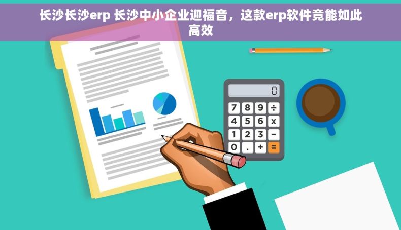 长沙长沙erp 长沙中小企业迎福音，这款erp软件竟能如此高效
