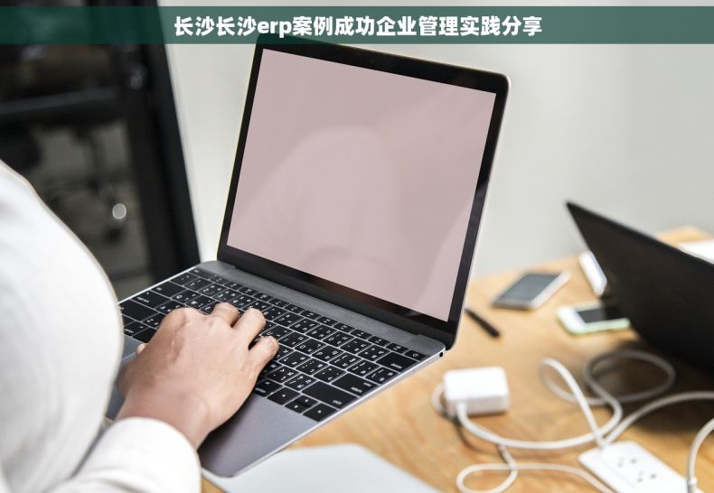 长沙长沙erp案例成功企业管理实践分享