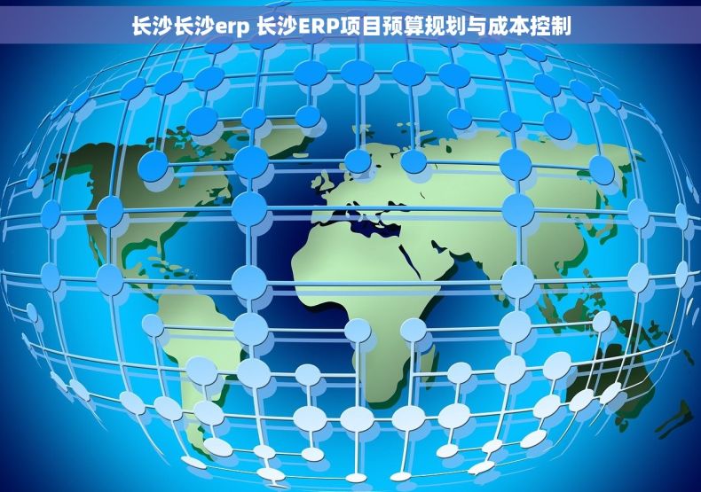 长沙长沙erp 长沙ERP项目预算规划与成本控制