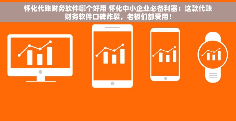 怀化代账财务软件哪个好用 怀化中小企业必备利器：这款代账财务软件口碑炸裂，老板们都爱用！