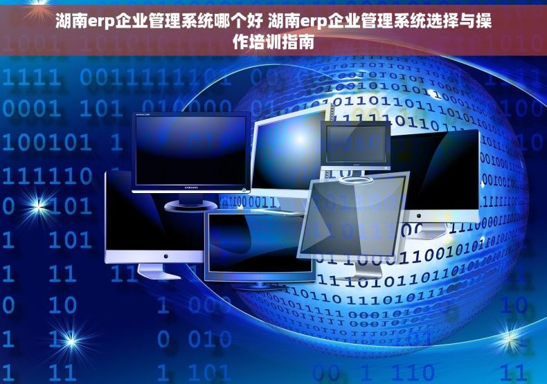湖南erp企业管理系统哪个好 湖南erp企业管理系统选择与操作培训指南