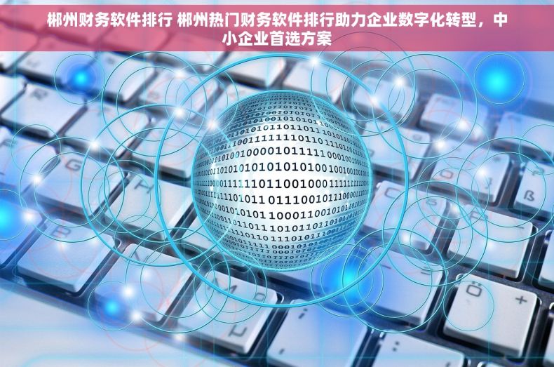 郴州财务软件排行 郴州热门财务软件排行助力企业数字化转型，中小企业首选方案