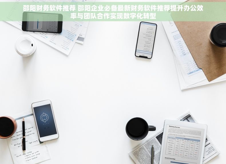 邵阳财务软件推荐 邵阳企业必备最新财务软件推荐提升办公效率与团队合作实现数字化转型