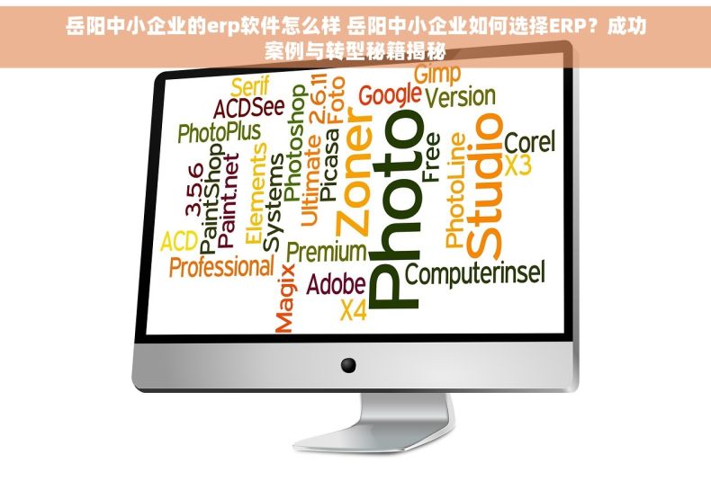 岳阳中小企业的erp软件怎么样 岳阳中小企业如何选择ERP？成功案例与转型秘籍揭秘