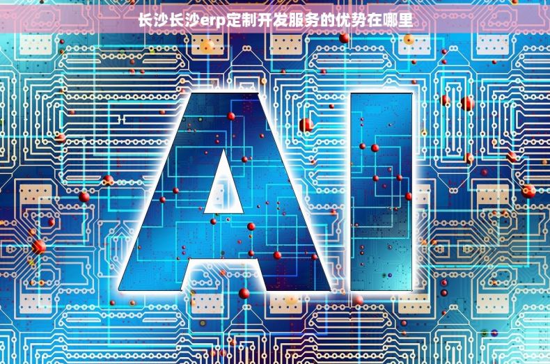 长沙长沙erp定制开发服务的优势在哪里