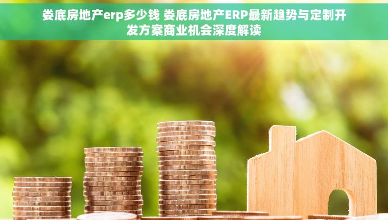 娄底房地产erp多少钱 娄底房地产ERP最新趋势与定制开发方案商业机会深度解读