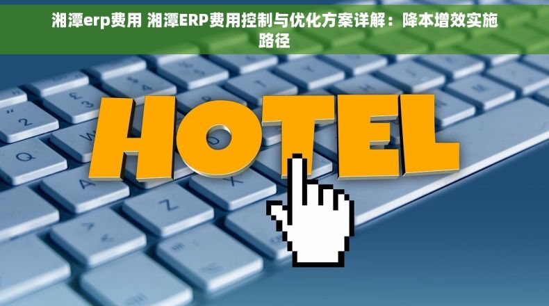 湘潭erp费用 湘潭ERP费用控制与优化方案详解：降本增效实施路径