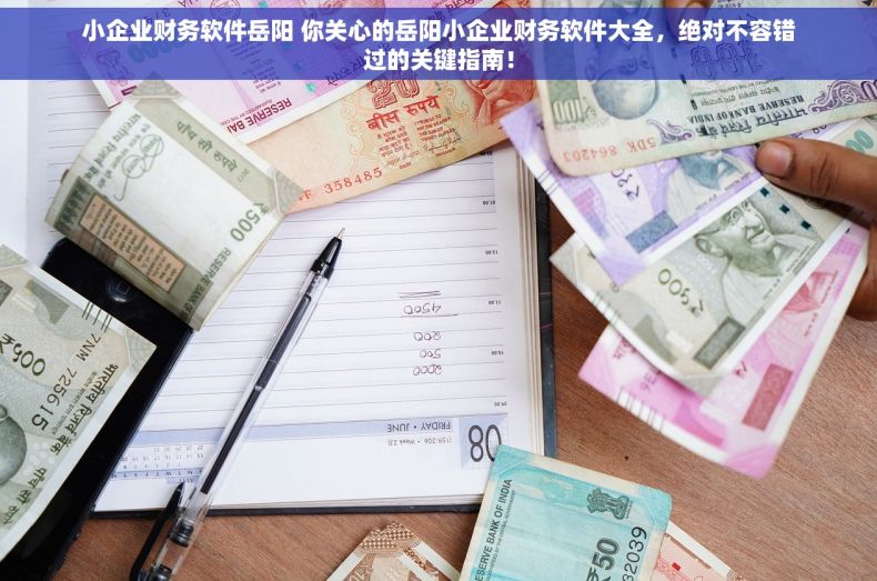 小企业财务软件岳阳 你关心的岳阳小企业财务软件大全，绝对不容错过的关键指南！
