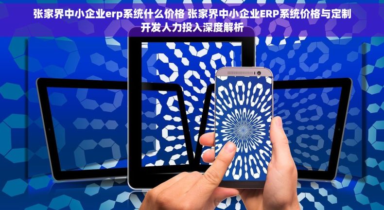 张家界中小企业erp系统什么价格 张家界中小企业ERP系统价格与定制开发人力投入深度解析