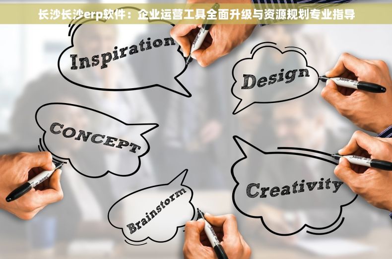 长沙长沙erp软件：企业运营工具全面升级与资源规划专业指导
