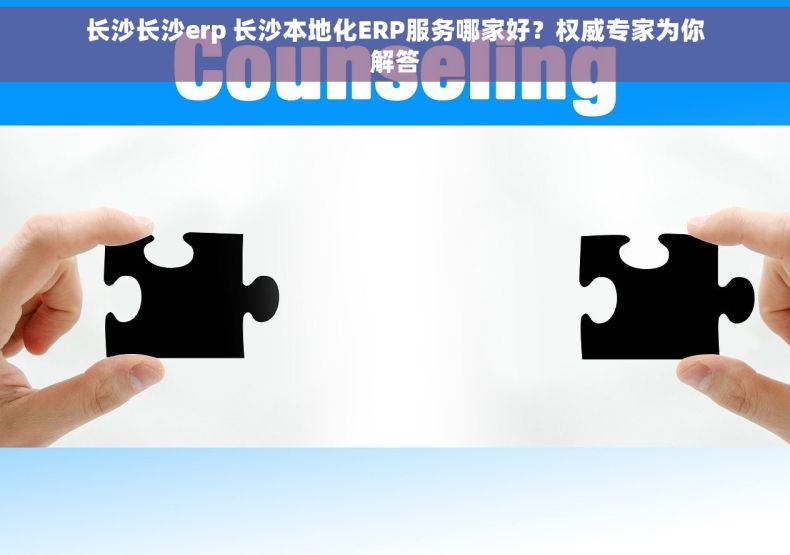 长沙长沙erp 长沙本地化ERP服务哪家好？权威专家为你解答