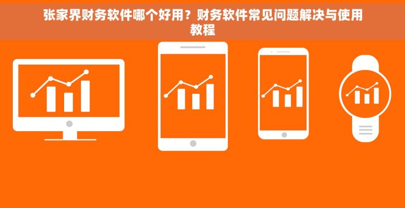 张家界财务软件哪个好用？财务软件常见问题解决与使用教程