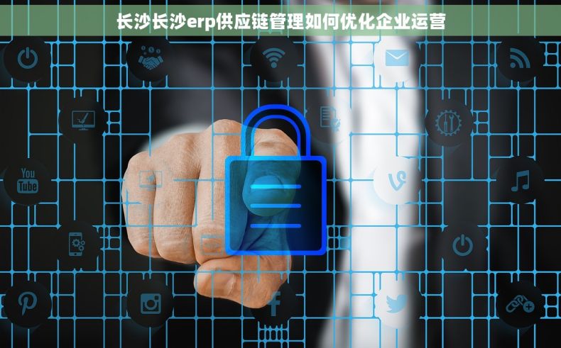 长沙长沙erp供应链管理如何优化企业运营