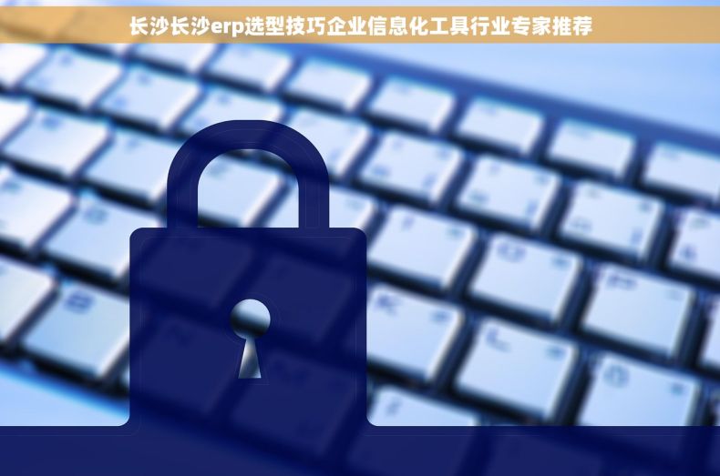 长沙长沙erp选型技巧企业信息化工具行业专家推荐