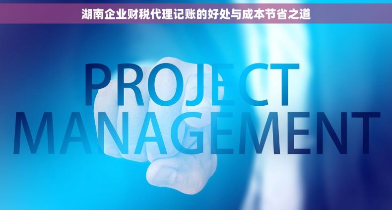 湖南企业财税代理记账的好处与成本节省之道