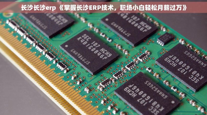 长沙长沙erp 《掌握长沙ERP技术，职场小白轻松月薪过万》