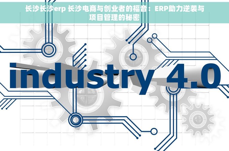 长沙长沙erp 长沙电商与创业者的福音：ERP助力逆袭与项目管理的秘密