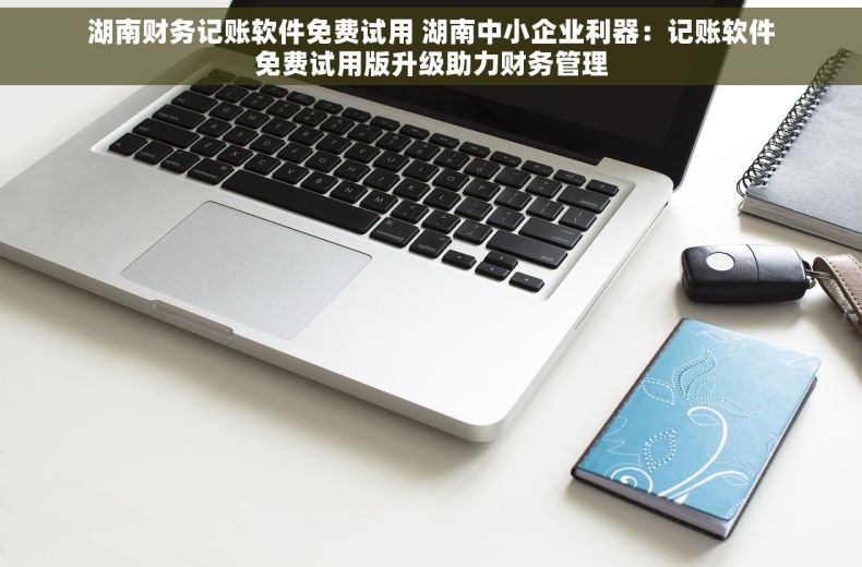 湖南财务记账软件免费试用 湖南中小企业利器：记账软件免费试用版升级助力财务管理