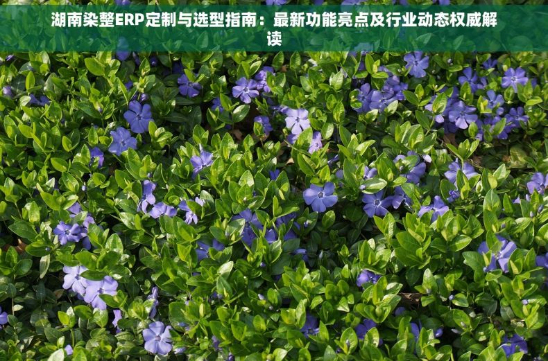湖南染整ERP定制与选型指南：最新功能亮点及行业动态权威解读