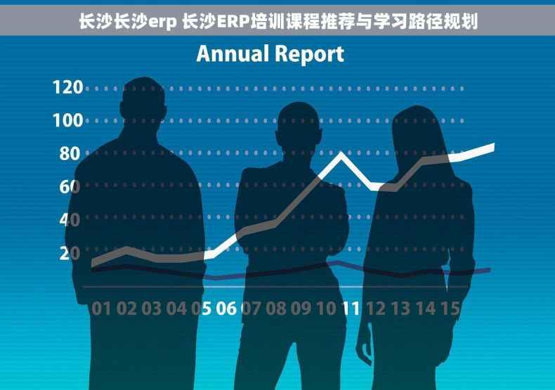 长沙长沙erp 长沙ERP培训课程推荐与学习路径规划