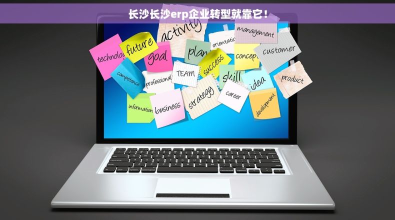 长沙长沙erp企业转型就靠它！