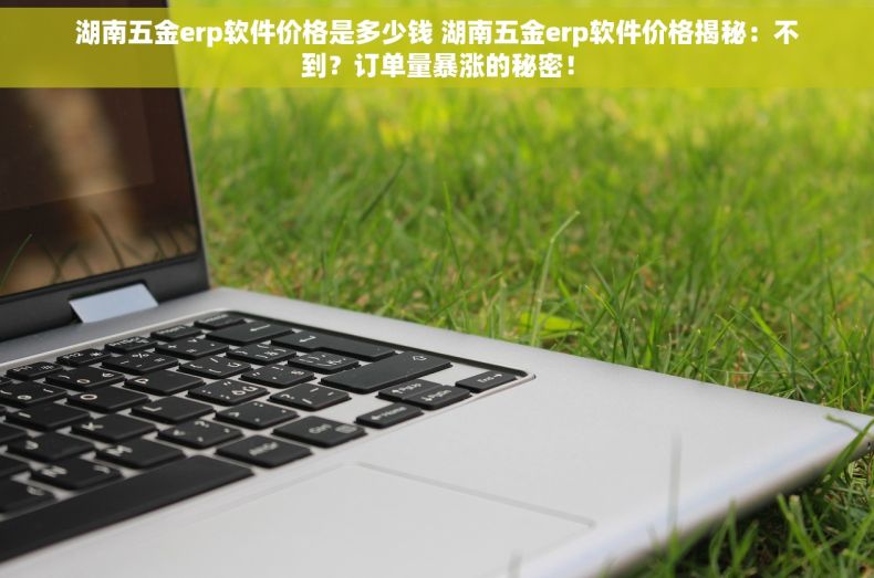 湖南五金erp软件价格是多少钱 湖南五金erp软件价格揭秘：不到？订单量暴涨的秘密！