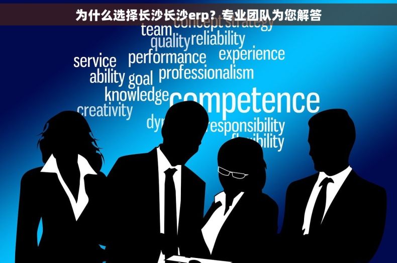 为什么选择长沙长沙erp？专业团队为您解答