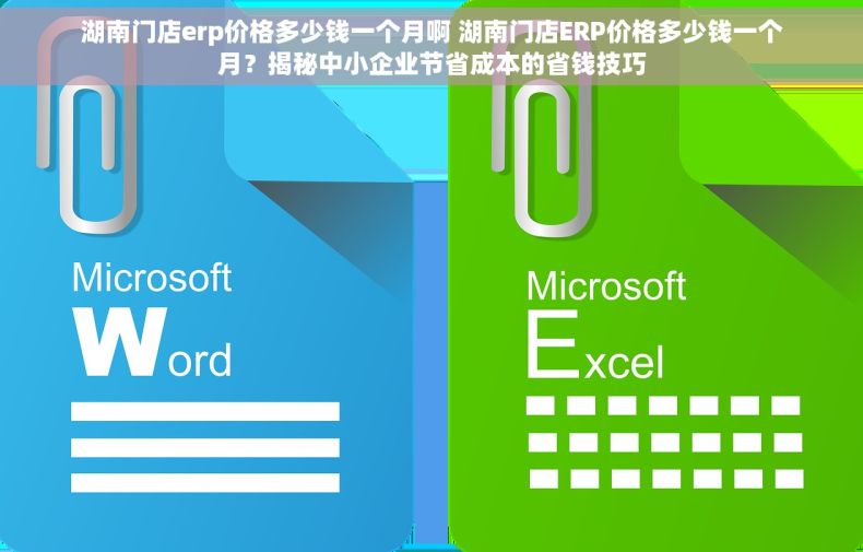 湖南门店erp价格多少钱一个月啊 湖南门店ERP价格多少钱一个月？揭秘中小企业节省成本的省钱技巧