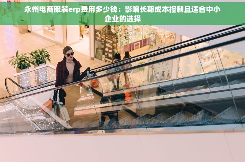 永州电商服装erp费用多少钱：影响长期成本控制且适合中小企业的选择
