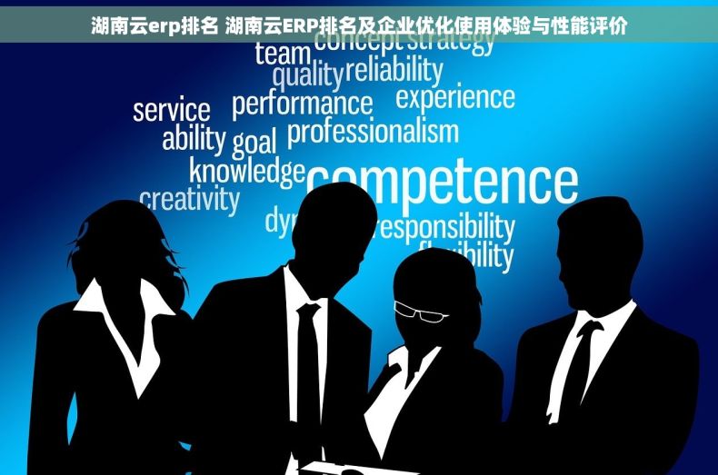 湖南云erp排名 湖南云ERP排名及企业优化使用体验与性能评价