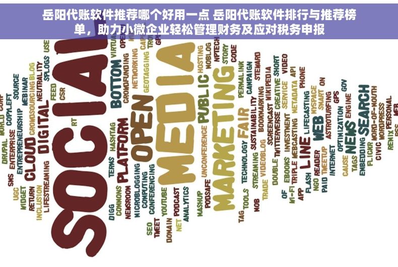 岳阳代账软件推荐哪个好用一点 岳阳代账软件排行与推荐榜单，助力小微企业轻松管理财务及应对税务申报