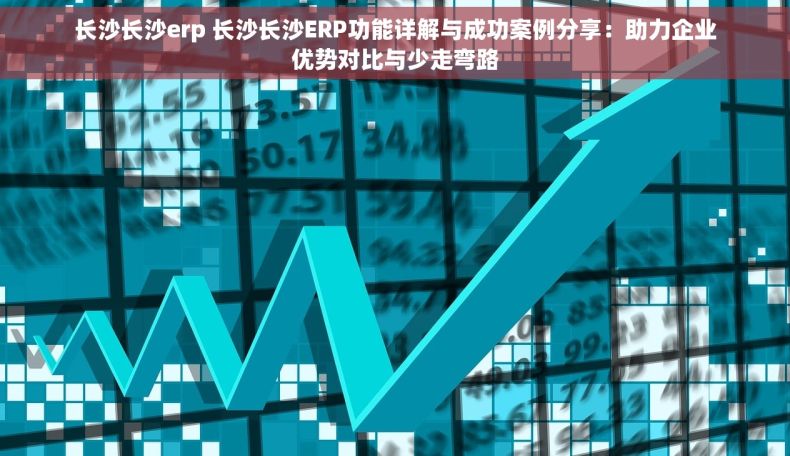 长沙长沙erp 长沙长沙ERP功能详解与成功案例分享：助力企业优势对比与少走弯路