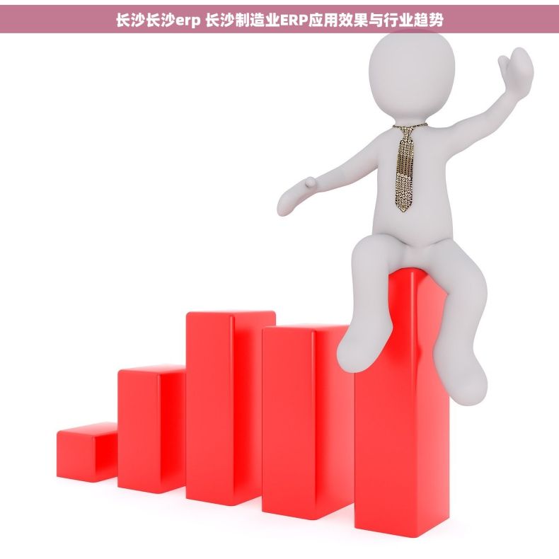 长沙长沙erp 长沙制造业ERP应用效果与行业趋势