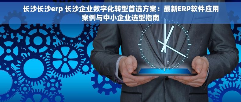 长沙长沙erp 长沙企业数字化转型首选方案：最新ERP软件应用案例与中小企业选型指南