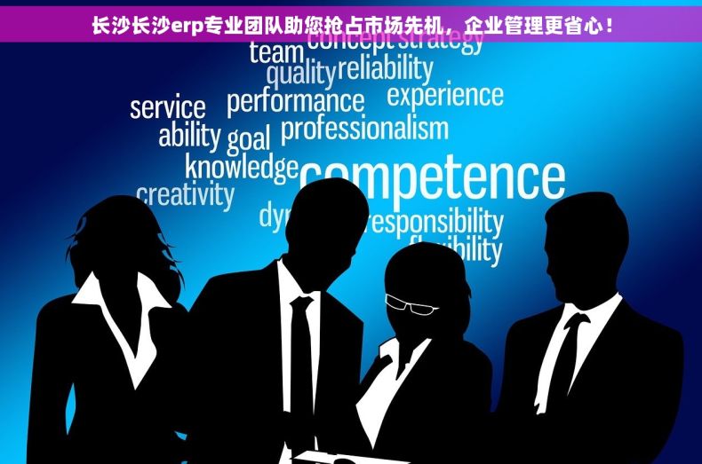 长沙长沙erp专业团队助您抢占市场先机，企业管理更省心！