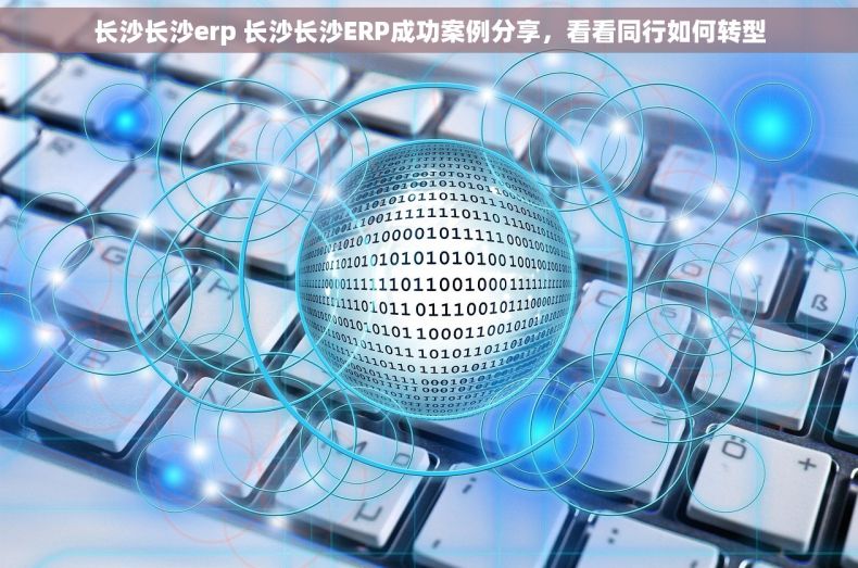 长沙长沙erp 长沙长沙ERP成功案例分享，看看同行如何转型