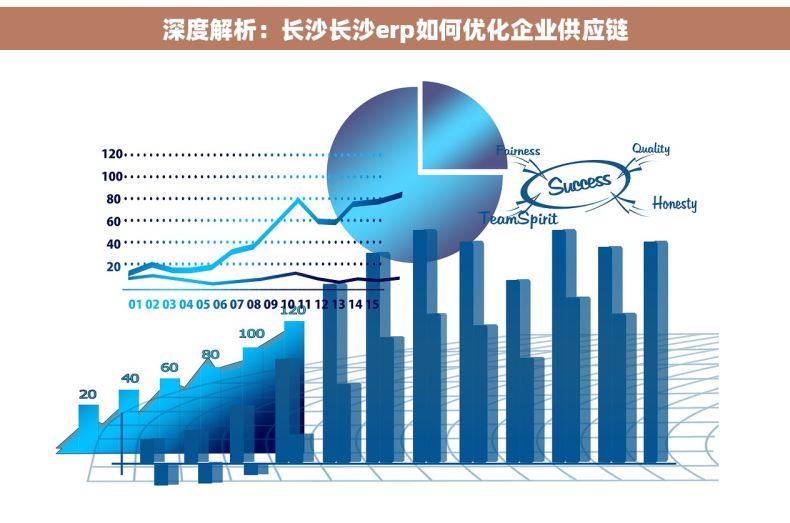 深度解析：长沙长沙erp如何优化企业供应链