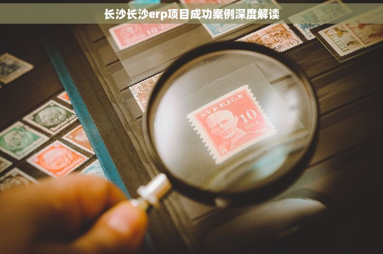 长沙长沙erp项目成功案例深度解读