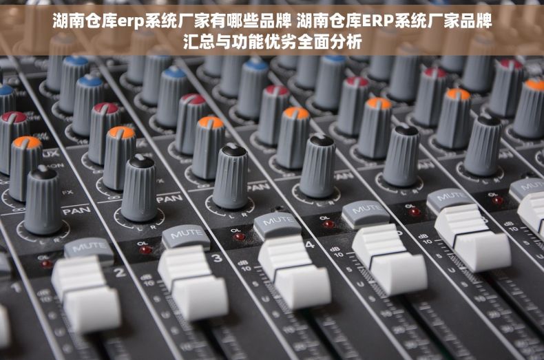 湖南仓库erp系统厂家有哪些品牌 湖南仓库ERP系统厂家品牌汇总与功能优劣全面分析