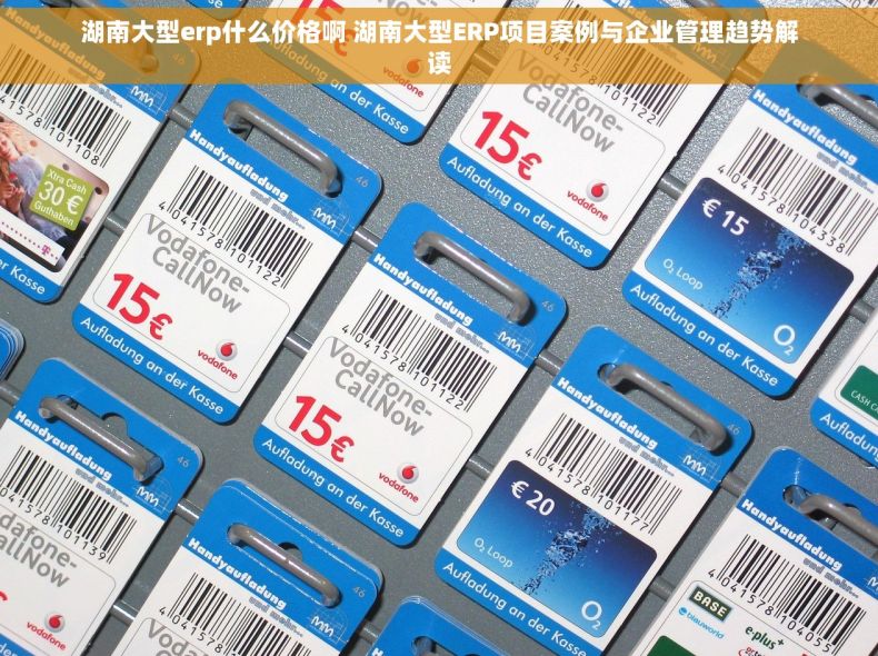 湖南大型erp什么价格啊 湖南大型ERP项目案例与企业管理趋势解读