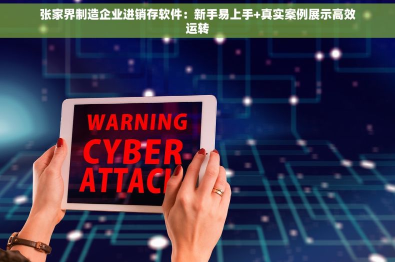 张家界制造企业进销存软件：新手易上手+真实案例展示高效运转