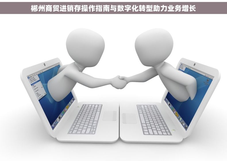 郴州商贸进销存操作指南与数字化转型助力业务增长