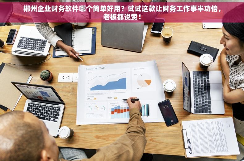 郴州企业财务软件哪个简单好用？试试这款让财务工作事半功倍，老板都说赞！