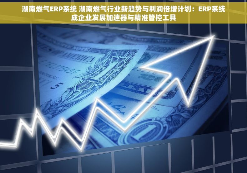 湖南燃气ERP系统 湖南燃气行业新趋势与利润倍增计划：ERP系统成企业发展加速器与精准管控工具