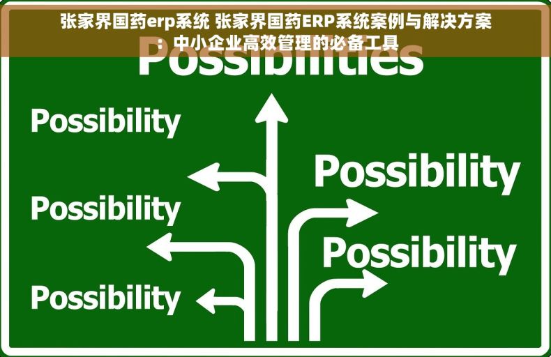张家界国药erp系统 张家界国药ERP系统案例与解决方案：中小企业高效管理的必备工具
