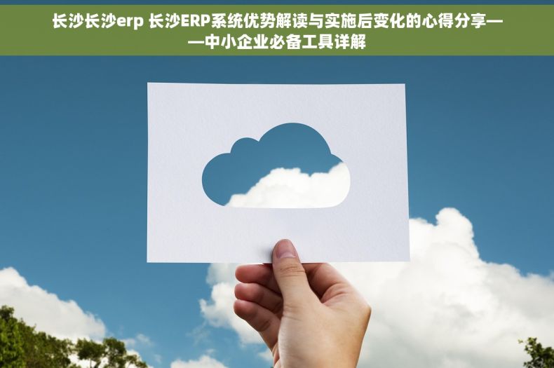 长沙长沙erp 长沙ERP系统优势解读与实施后变化的心得分享——中小企业必备工具详解
