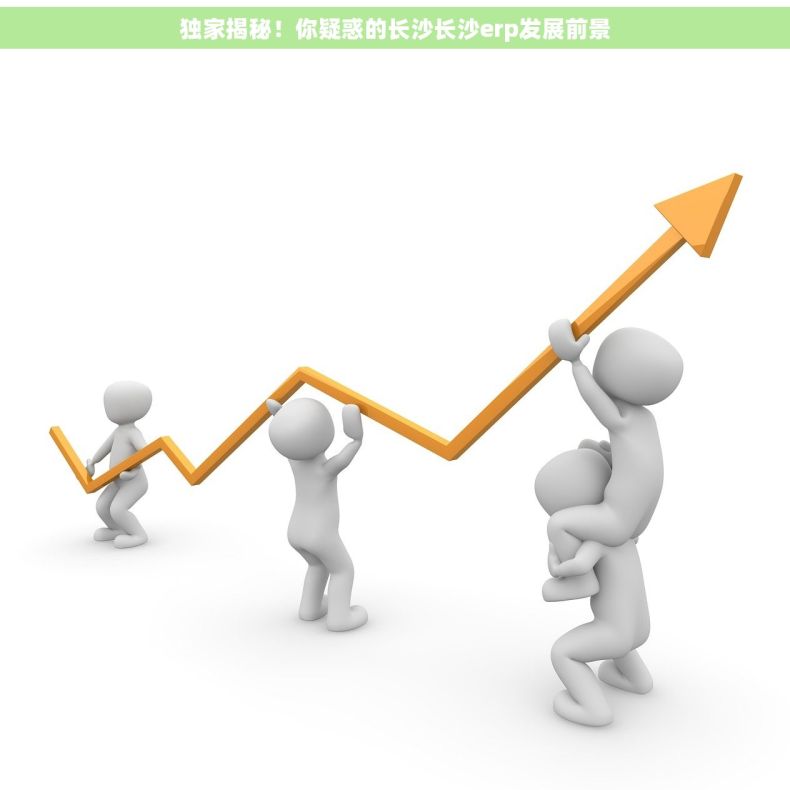 独家揭秘！你疑惑的长沙长沙erp发展前景
