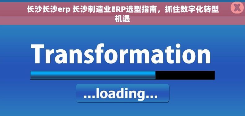 长沙长沙erp 长沙制造业ERP选型指南，抓住数字化转型机遇