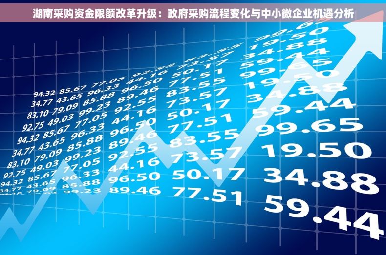 湖南采购资金限额改革升级：政府采购流程变化与中小微企业机遇分析